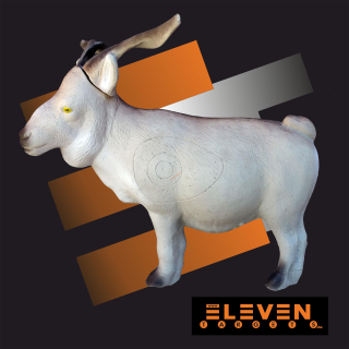 3D koza Eleven