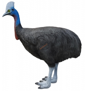 3D kasuar (cassowary) Eleven