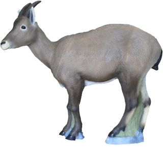 3D kamzík SRT