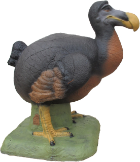 3D dodo SRT
