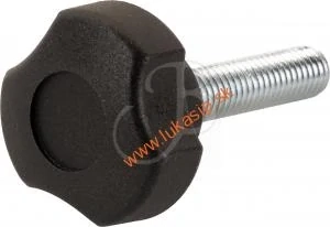 Skrutka na uchytenie ramien Ragim Matrix a WildCat(tiller bolt) - 1 kus